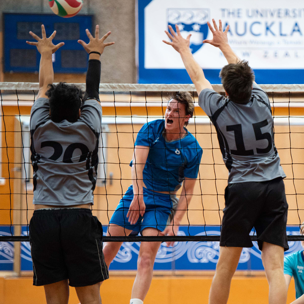 Students playing volleyball.