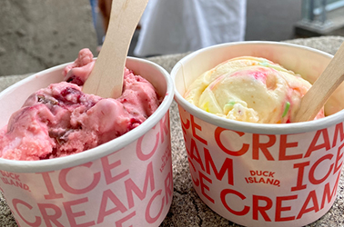 Duck Island Ice-Cream